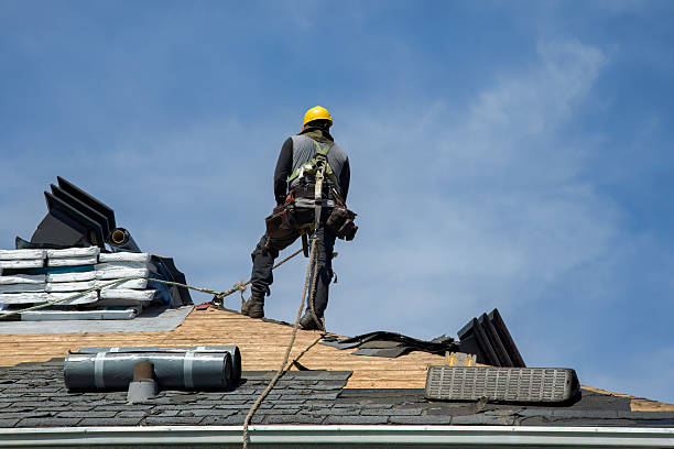 Professional Roof Installation technician working in Erwin, TN